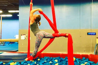 Aerial Yoga - Level 2